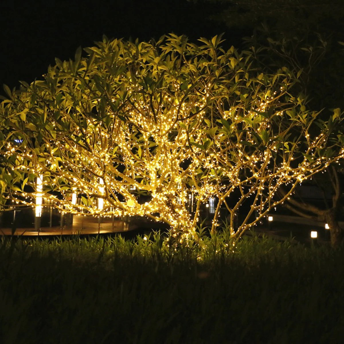 Guirlande lumineuse LED 100M extérieur/intérieur Noël